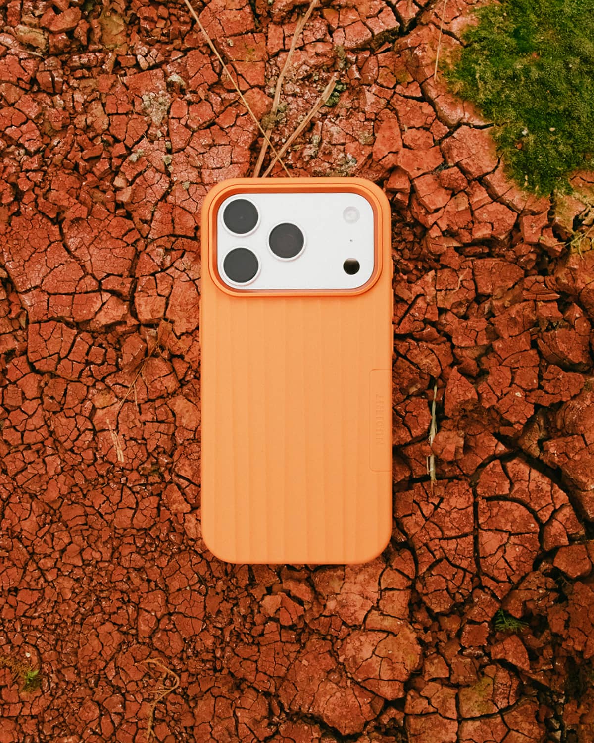 Bold Case